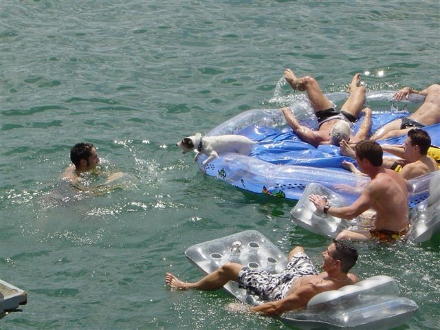 ../Images/Splash 011.jpg